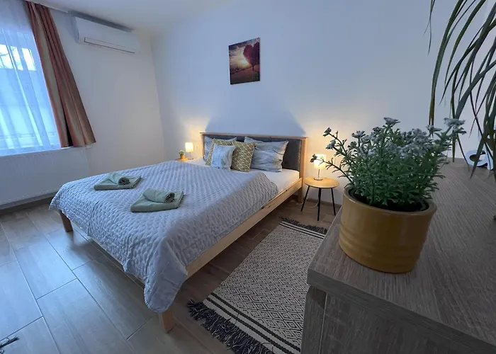 Apartment Park Vendeghaz